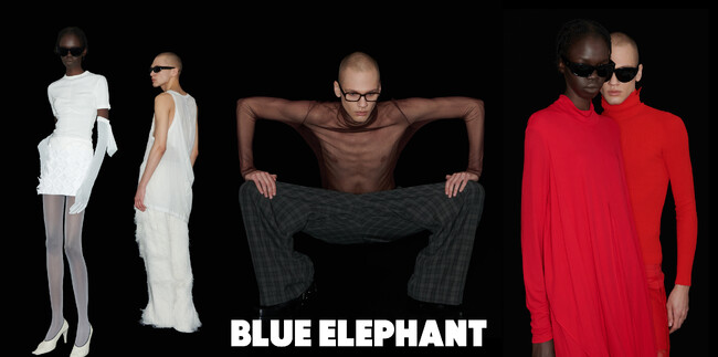 人気爆発中の韓国発アイウェアブランド〈BLUE ELEPHANT〉が日本進出を本格スタート