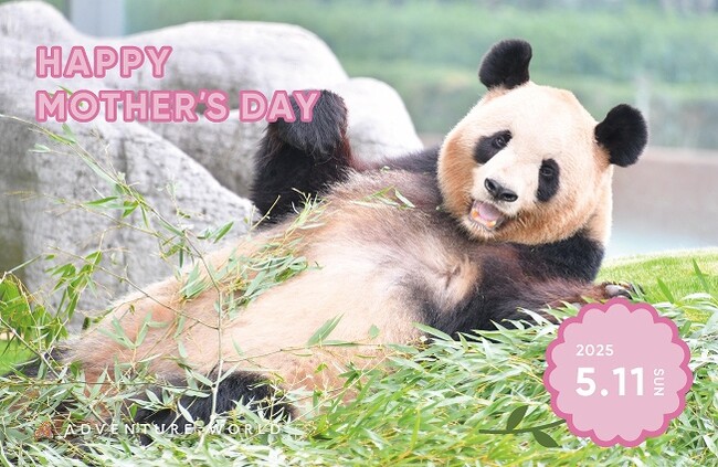 ありがとう「良浜（らうひん）」　「良浜」へ感謝を届ける母の日 特別イベントを開催　２０２５年５月１１日（日）