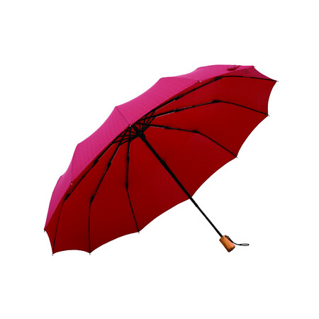 【oiwai】2025年5/1(木)はワンダフルデー！楽天市場にて人気の名入れ傘「雨日和シリーズ」のポイント10倍セール実施いたします。あなたはどっち派？長傘 vs 折りたたみ傘、意外なメリット比較