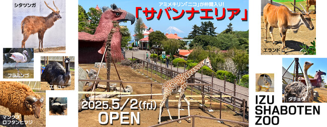 伊豆シャボテン動物公園に、新エリア 「サバンナエリア」2025年5月2日（金） オープン
