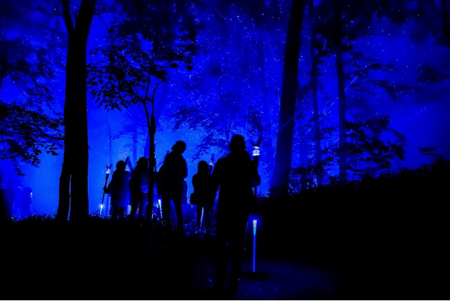 鶴雅グループ創業70年を記念した特別プラン、「THE FOREST 阿寒 TSURUGA RESORT」にて幻想的なナイトウォークを体験する「カムイルミナ」入場券＆特典が付いた宿泊プランを販売開始！