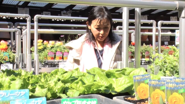 【BS日テレ】財前直見の番組プロジェクト始動!都内ベランダでプランター菜園にチャレンジ【なおみ農園】