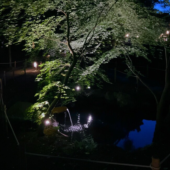 【東京都町田市】光と影が織りなす、静かで豊かな時間　鶴川香山園ライトアップを実施します
