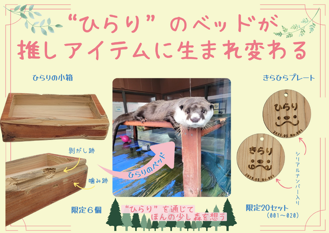 ツメナシカワウソの愛用ベッドを使ったオリジナルアイテムを限定販売！