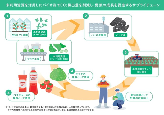 カゴメとキユーピーが未利用野菜資源のバイオ炭化で共同研究を開始