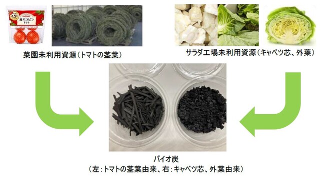 キユーピーとカゴメが未利用野菜資源のバイオ炭化で共同研究を開始