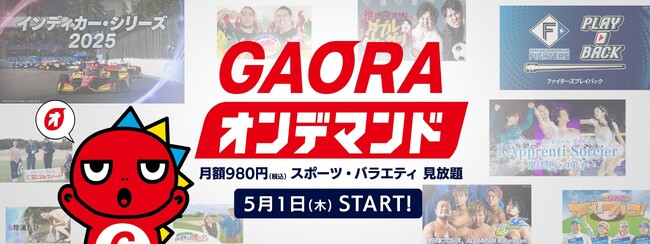 SVOD映像配信サービス『GAORAオンデマンド』サイトの構築と動画配信インフラを担当
