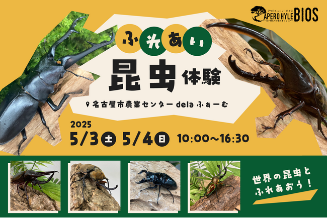 今年もやります！生き物たちの隠れ家ショップAPERO　HYLE　BIOS(アペロヒューレ・ビオス)のふれあい昆虫イベント！！