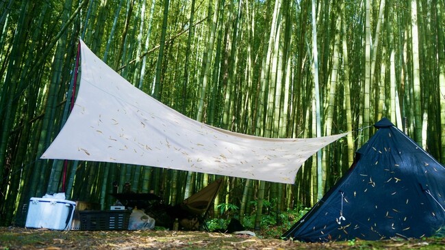 都市近郊で始まる新しい竹林利用 「森林レンタル」サービスが茨城県龍ヶ崎市に誕生