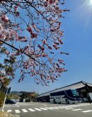 従業員ギャラリーより_3 従業員ギャラリーより_3