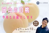 岡山・なんば農園がクラウドファンディング第2弾を実施！「清水白桃」など人気品種の“旬の食べ比べ便”を全国へ