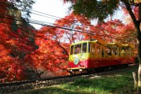 訪日外国人向けの高尾山やよみうりランド関連の企画乗車券を５月１２日（月）からデジタルチケット化します