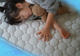 ソルベキルト ソルベキルト