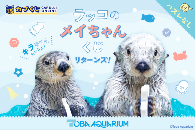 『鳥羽水族館』のアイドルが帰ってきた！　「ラッコのメイちゃん」の誕生日を、可愛らしいグッズでお祝いします！