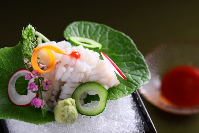 【奥湯河原温泉 海石榴つばき】夏季限定・新プランのご紹介