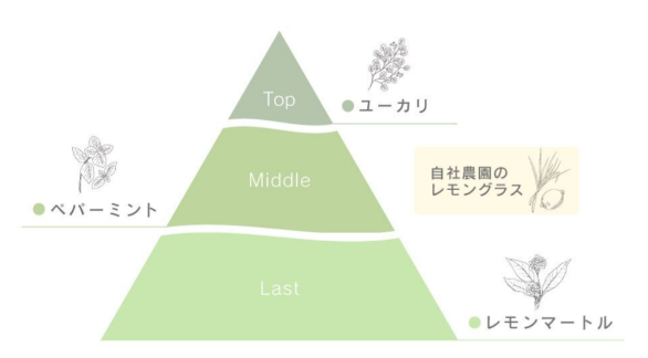 日本初※1COSMOS認証取得の育毛剤「wicot 薬用スカルプセラム（医薬部外品）」に爽やかなシトラスミントの香りが新登場