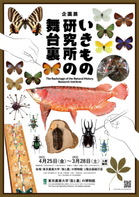 【東京農業大学】「食と農」の博物館で企画展「いきもの研究所の舞台裏」開催中