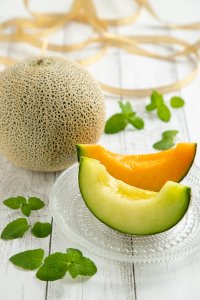 いばらきメロン品評会を開催！生産量日本一を誇る茨城県産メロンの魅力を発信し、最高の一玉を決める