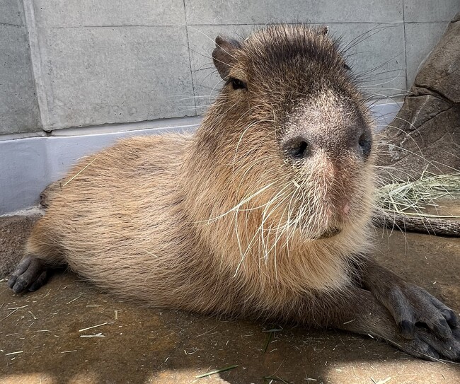 神戸の水族館