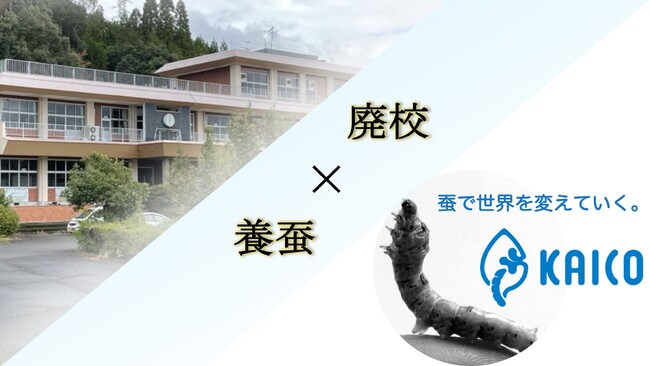 廃校を活用した養蚕、熊本県あさぎり町にて6月から飼育開始。