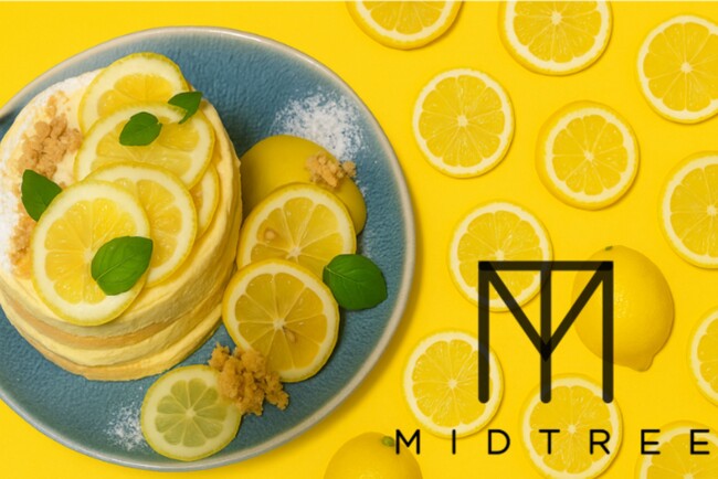 【 めざましテレビ 「 イマドキ 」で紹介 】『 MID TREE 』人気のパンケーキ ＆ バスクチーズケーキに、初夏の訪れを告げる “ レモンの香り ” を添えて。爽やかな味わいが5月限定で登場。