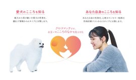 お互いのこころの欲求を“見える化”イメージ お互いのこころの欲求を“見える化”イメージ