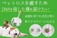 ペットのDNA×植物のタネでペットロスに寄り添う新サービス『Yuishu(ゆいしゅ)』が5月15日にクラウドファンディングを開始