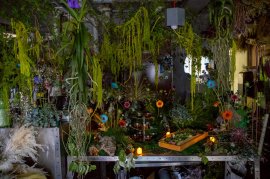 Maison De l'Oiseau 1 Maison De l'Oiseau 1