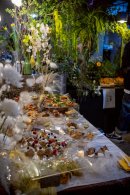 Maison De l'Oiseau 3 Maison De l'Oiseau 3