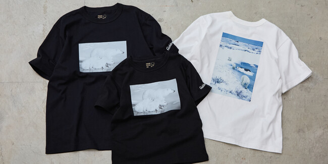 Golden Bear meets Takayuki MAEKAWA　動物写真家・前川貴行氏とのコラボレーションTシャツを発売