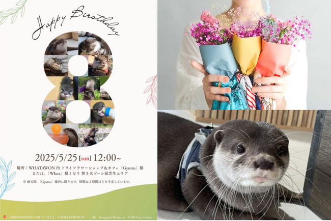 WHATAWON公式アンバサダー・カワウソのウーちゃんが8歳に♪ファン必見のバースデーイベント、5月25日(日)に開催！
