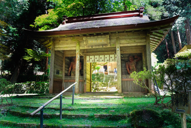 【参加受付中】苔の聖地・金勝寺で初夏の癒し体験「苔フィールドワーク＆テラリウムワークショップ」6月15日(日)開催｜滋賀・栗東市