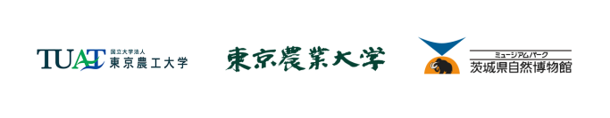 【東京農業大学（共同研究）】道路は危険？それでも渡るクマの理由