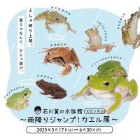 【京都水族館】6月6日「かえるの日」を記念した特別展示
「石川薫の水族館 スピンオフ～雨降りジャンプ！カエル展～」開催