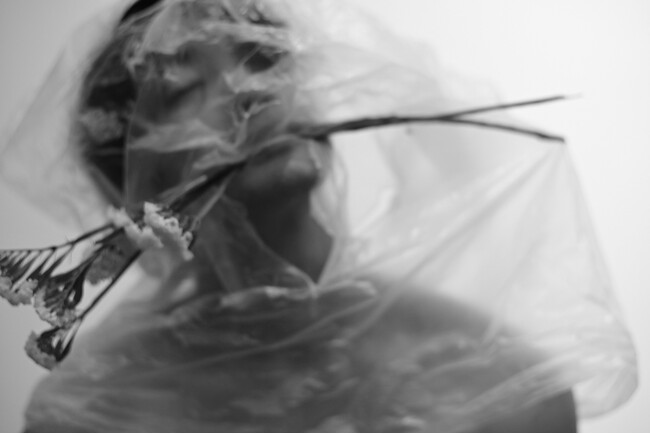 THE GALLERY企画展 古屋 呂敏 写真展 「MY FOCAL LENGTH」を開催