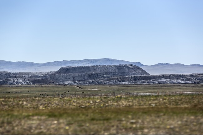 【ロロ・ピアーナ】