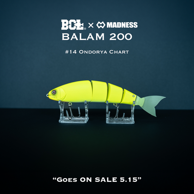 MADNESSの新作「BALAM200」がBCLアプリと連携