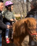 お子様もポニーに乗馬出来ます お子様もポニーに乗馬出来ます