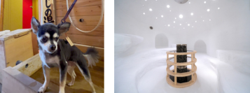 BIGLOBEが、温泉賢人が偏愛する温泉宿リスト「ペットも喜ぶ温泉宿」「ここは桃源郷！温泉サウナ」を本日公開