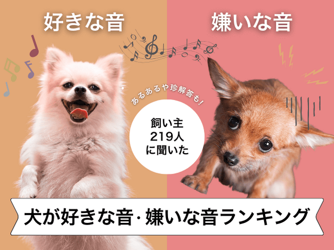 【飼い主219人に調査】犬が好きな音・苦手な音とは？あるある回答満載！