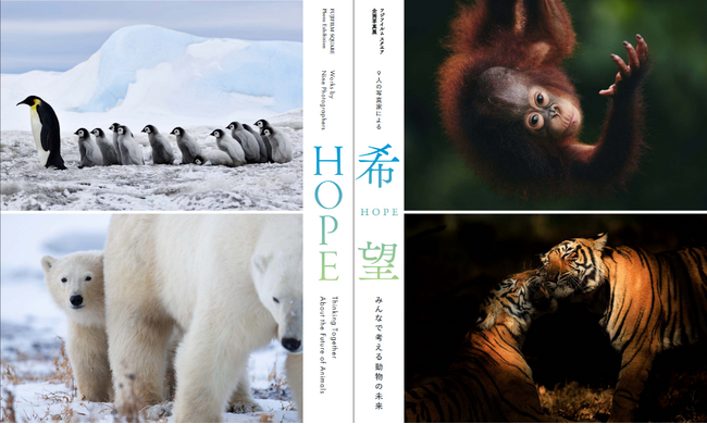 富士フイルムの企画写真展「希望（HOPE）」のトークイベントに代表の伊藤が登壇します