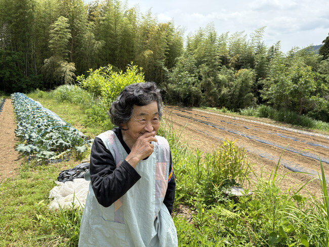 【人口5万人以下のまちで第三者承継】地域の“ラストワンマイル”を埋める「地域の農家さんから野菜の買取+産直所までの配達代行」を開始しました。【宮崎県日南市/株式会社ネオツグ】