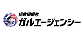 ５月２１日「探偵の日」に探偵・ガルが現れた。探偵ガルが依頼に応じて証拠を突き止める。そこで、目にする渦巻く人間模様は「ガルゴンクエスト」という壮大な冒険に…