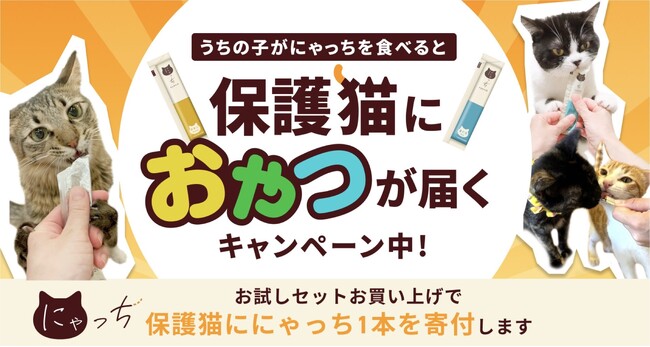 5月25日は保護猫の日。にゃっちを購入で保護猫に寄付ができるキャンペーンがスタート