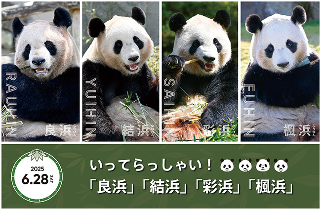 4頭のジャイアントパンダの帰国日が決定しました