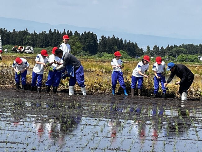 【福島県磐梯町】磐梯第一小学校で田植え体験を実施します！