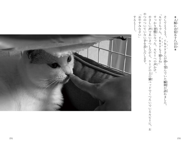 人気テレビ番組「坂上どうぶつ王国」から感動の実話が小説に！　集英社みらい文庫から、『坂上どうぶつ王国　ノベライズ　保護犬・保護猫ストーリー』が5月23日（金）に発売！