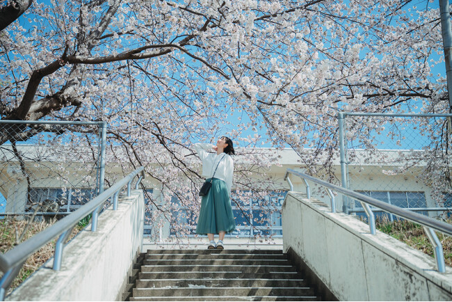 【企画連載 Vol.1】あわら色|写真家 tomosaki が切り取る 10 の情景