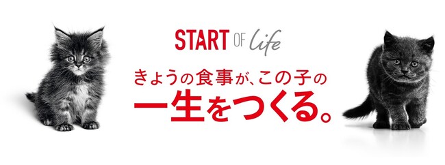 きょうの食事が、この子の一生をつくる。ロイヤルカナン、「Start of Life キャンペーン」を今年も実施