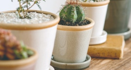 総合雑貨メーカー7社による合同展示会 PLUS the greenの『TOKYO PREVIE 5th』開催決定 総合雑貨メーカー7社による合同展示会 PLUS the greenの『TOKYO PREVIE 5th』開催決定